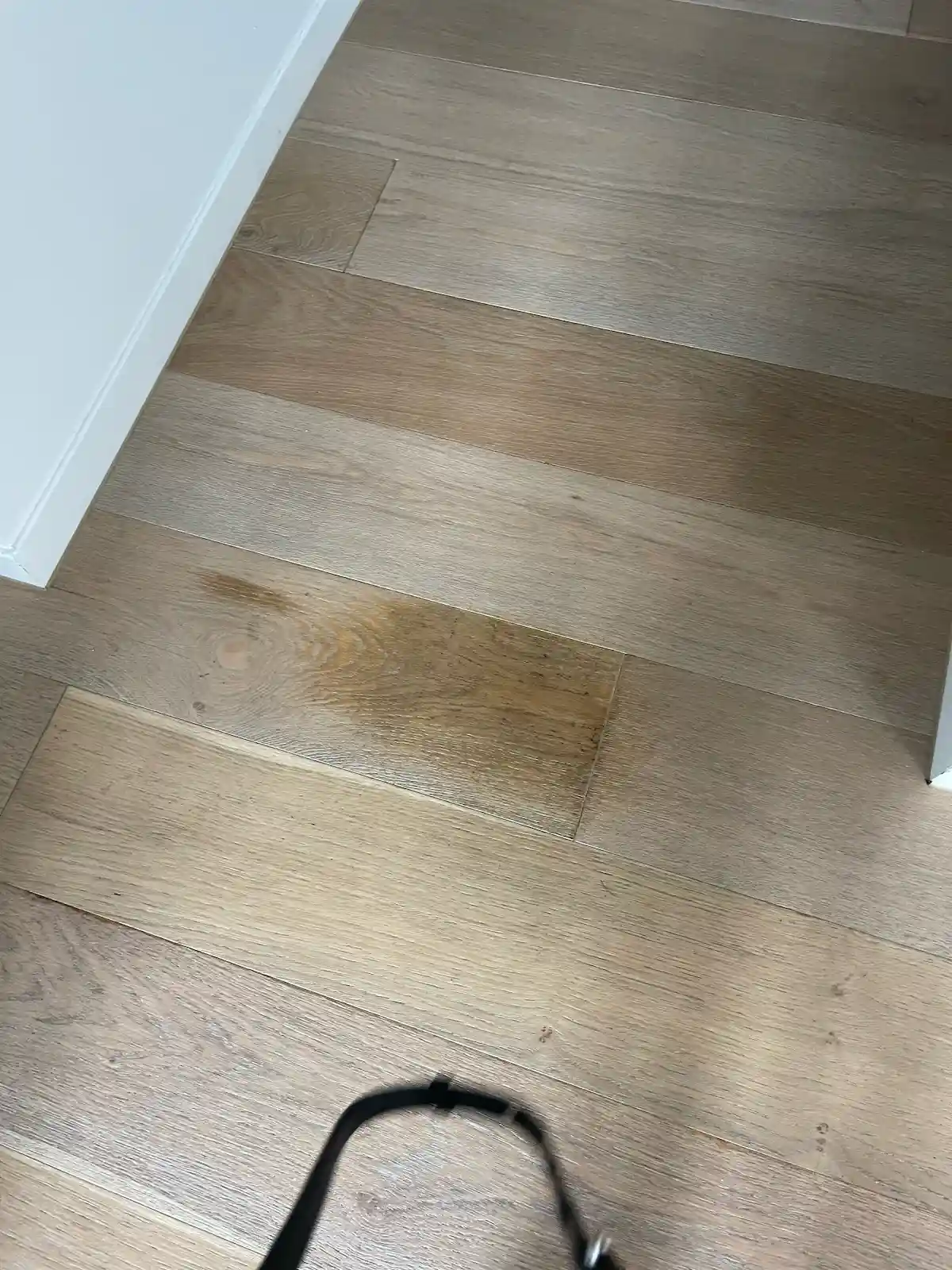 Stain Removal