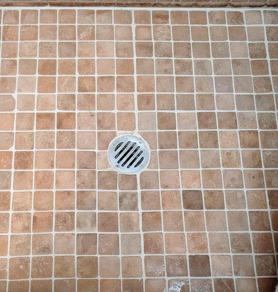 Bathroom shower floor with fresh, clean grout after regrouting by Surface Care