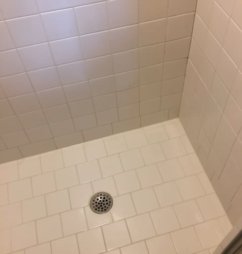 Shower with fresh, clean grout after professional regrouting by Surface Care