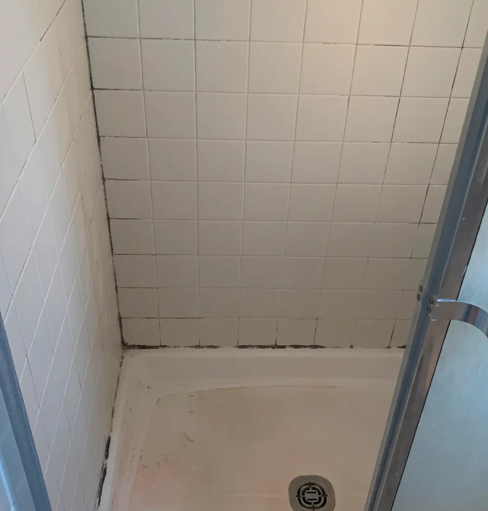 Shower with blackened grout lines and stained base before professional regrouting by Surface Care