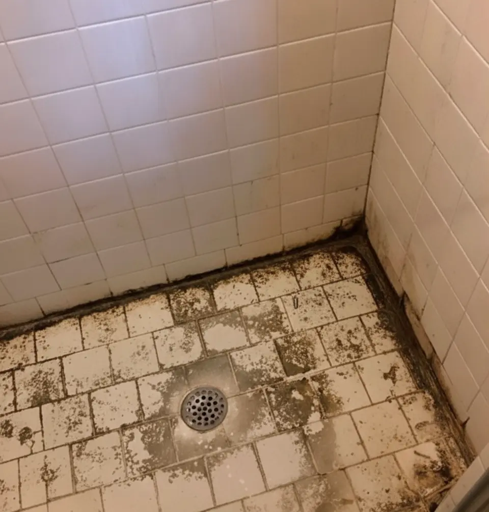 Shower with dirty and stained grout before professional regrouting by Surface Care