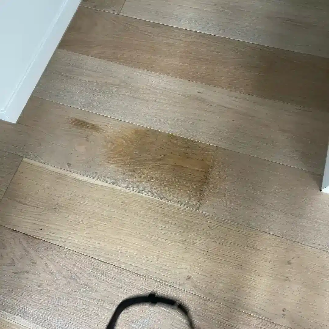 Stain Removal