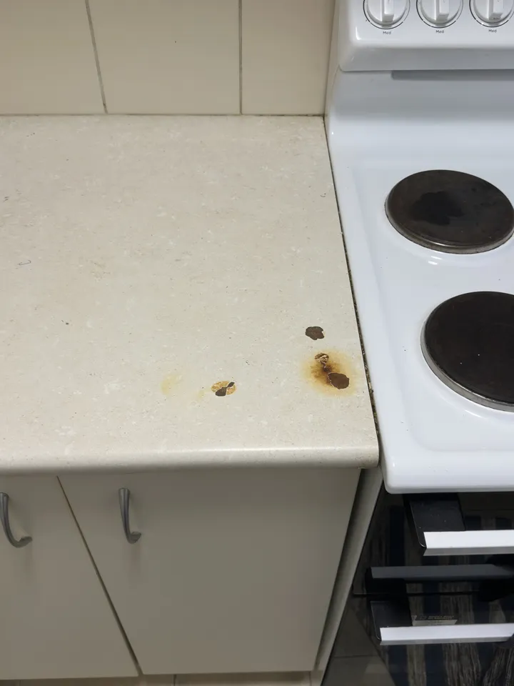 Cream stone-look laminate benchtop beside an electric cooktop with three burn marks